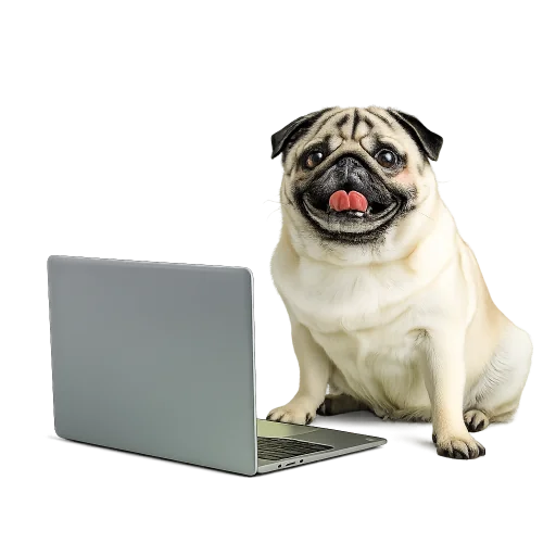 Cachorro pug ao lado de um notebook