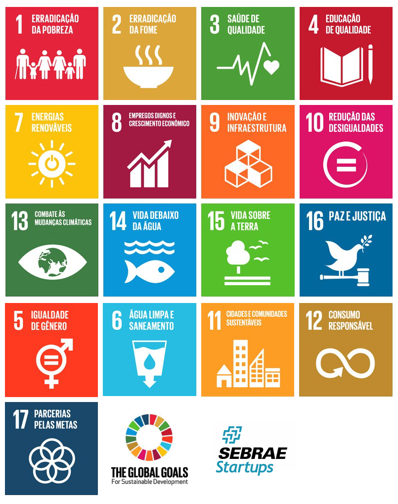 Objetivos de Desenvolvimento Sustentável da ONU